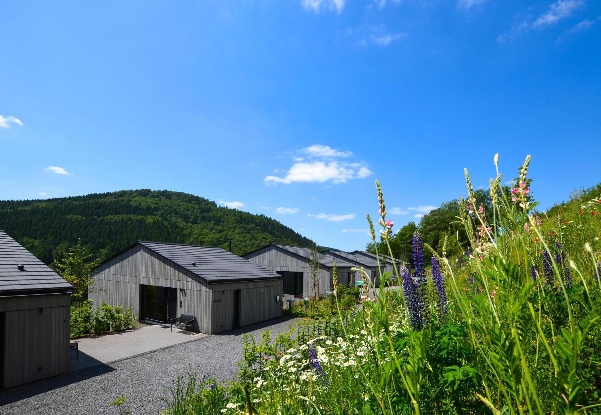Sauerland Lodge - Haus Julius Winterberg Kültér fotó